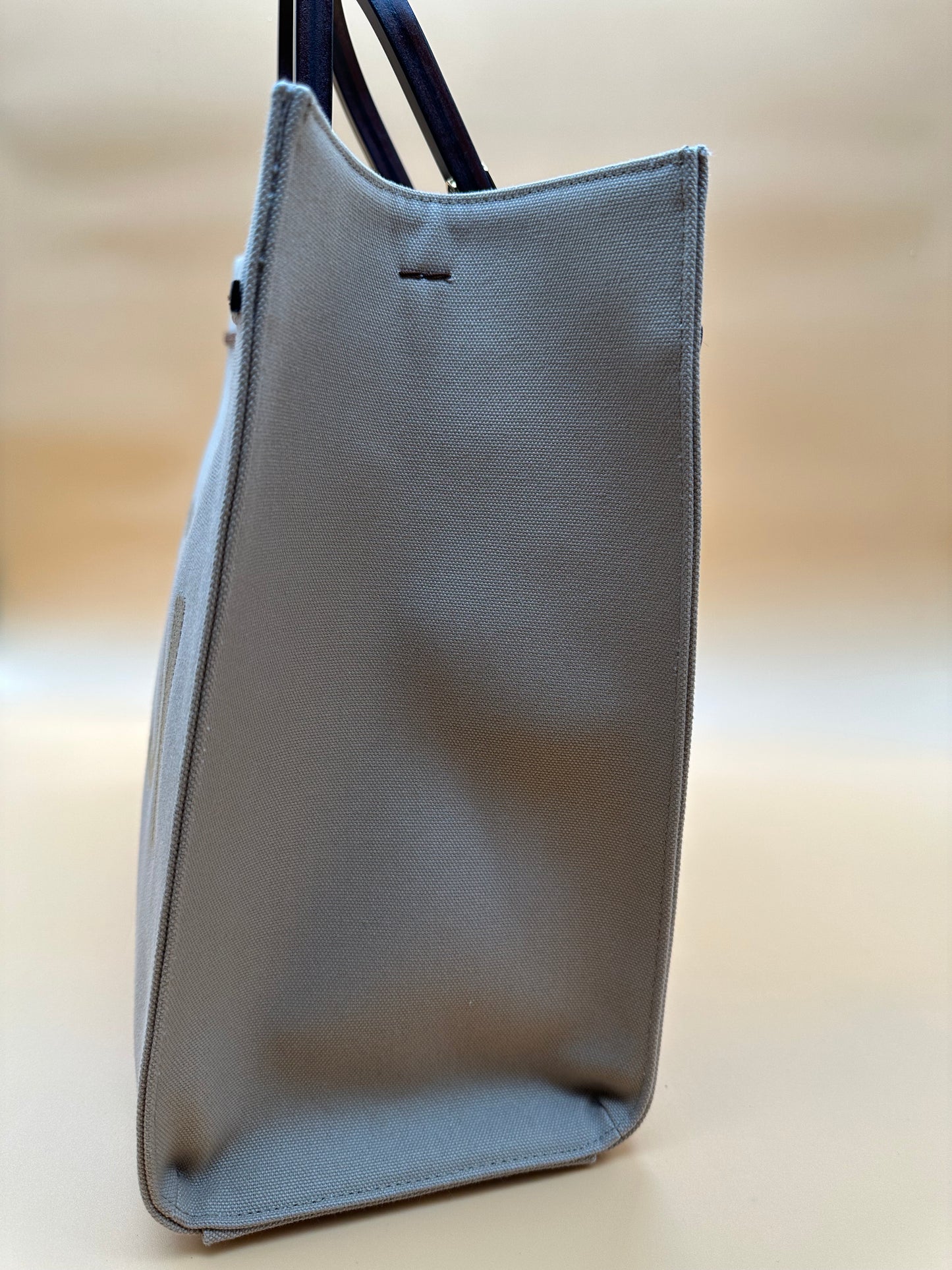 FENDI SUNSHINE CANVAS TOTE