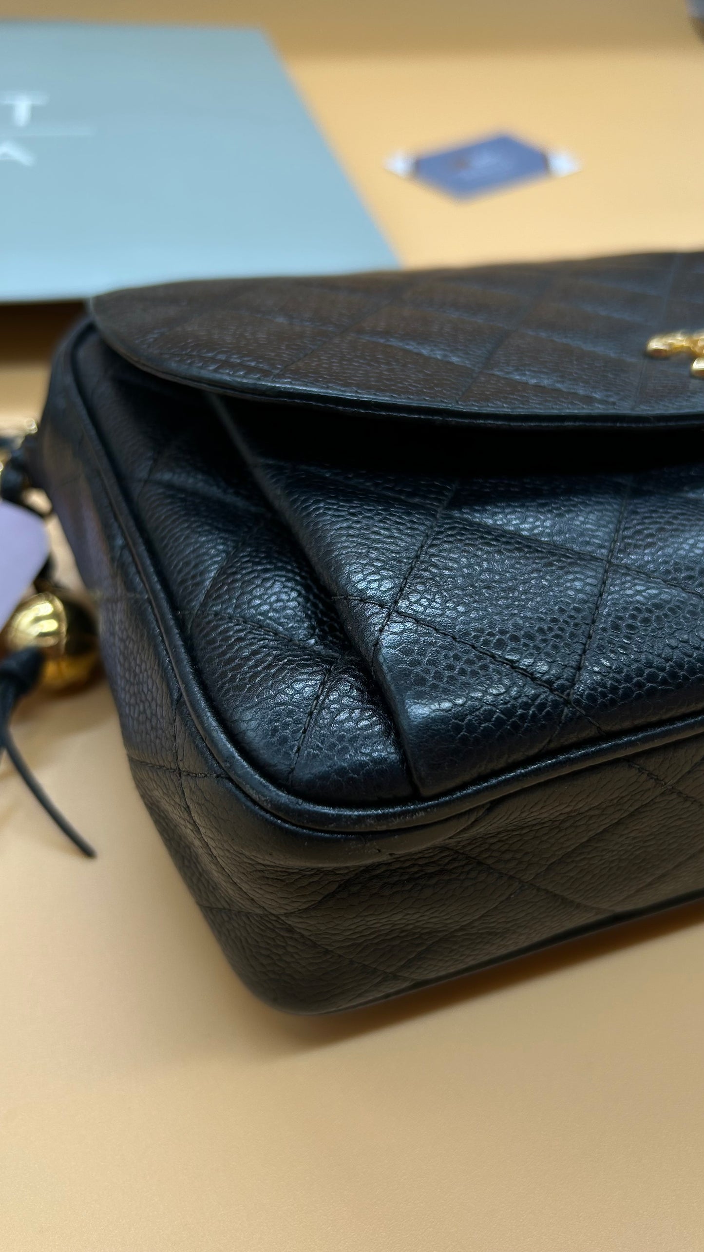 CHANEL VINTAGE CAVIAR CAMERA