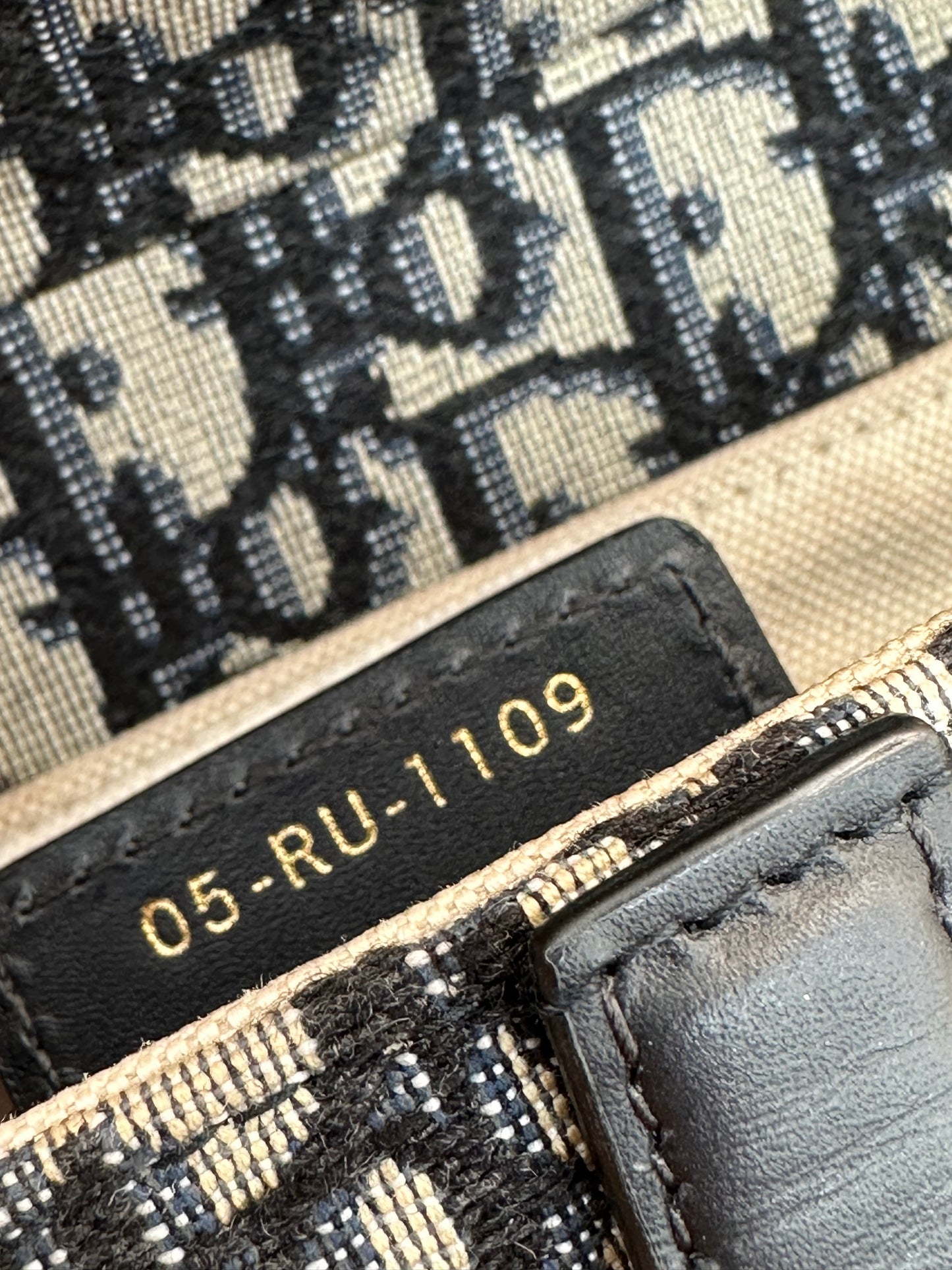 CHRISTIAN DIOR OBLIQUE SADDLE 2019